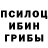 Псилоцибиновые грибы мицелий heerang _
