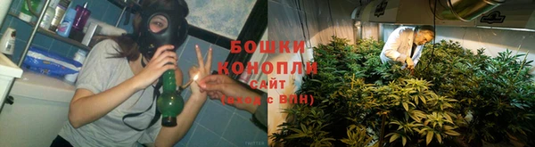 ПСИЛОЦИБИНОВЫЕ ГРИБЫ Балабаново