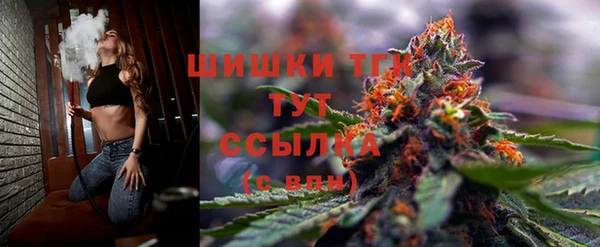 ПСИЛОЦИБИНОВЫЕ ГРИБЫ Балабаново