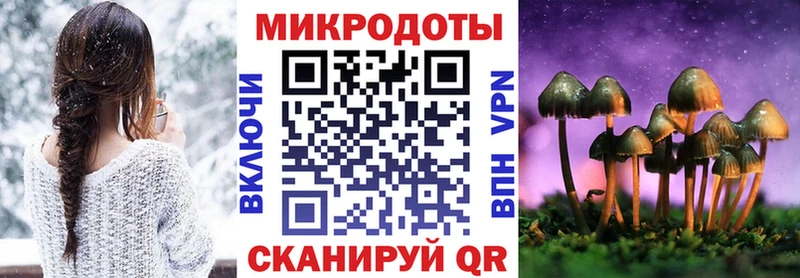 купить наркотик  MEGA   Псилоцибиновые грибы Psilocybe  Тимашёвск 